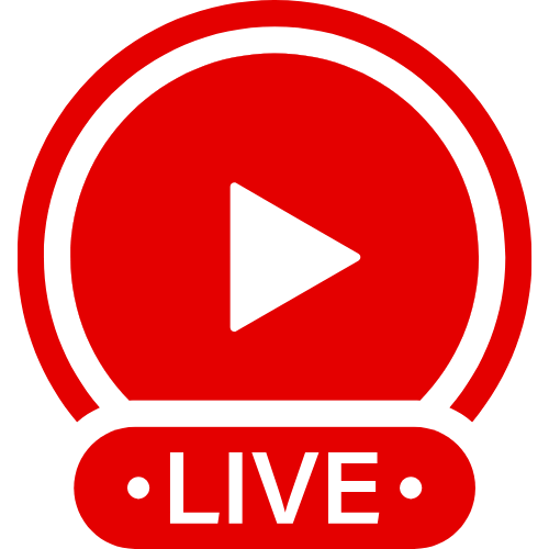 Love Sense Toys | Live Webcam Shows & Interactive Adult Entertainment